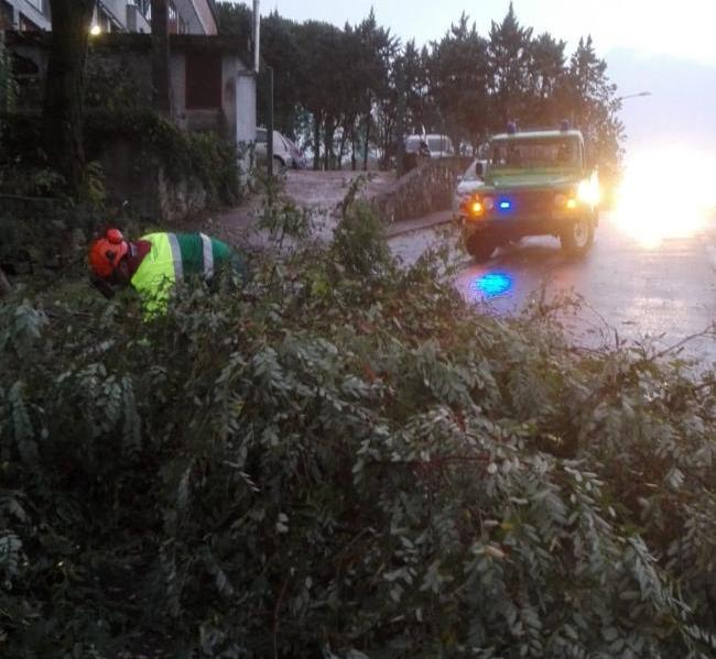 Immagine Maltempo: sopralluoghi di Fratoni e Ceccarelli ad Arezzo, Bugli a Gambassi e Certaldo